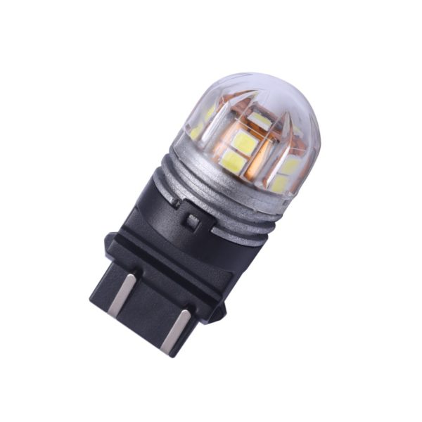 putC3157W